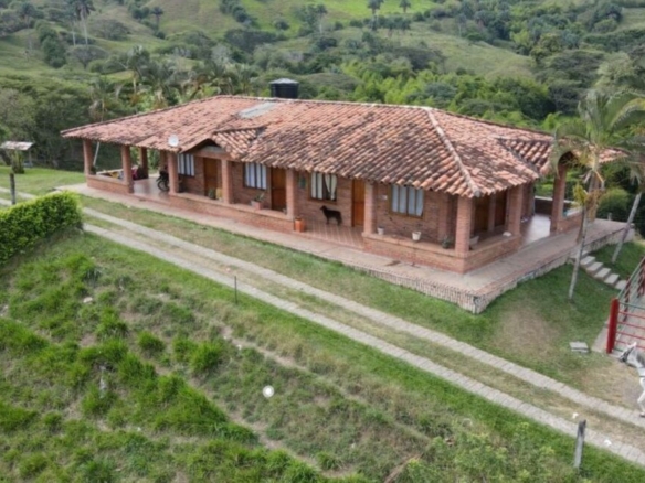 JCN -110 – Great Business Opportunity! Cattle Farm with Tourism Potential for Sale in Obando, Colombia