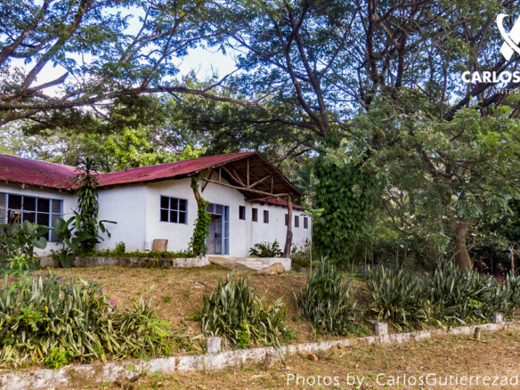 22378 – FARM for Sale in Granada NICARAGUA