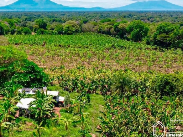 5008 – FARM For SALE in Rivas Nicaragua
