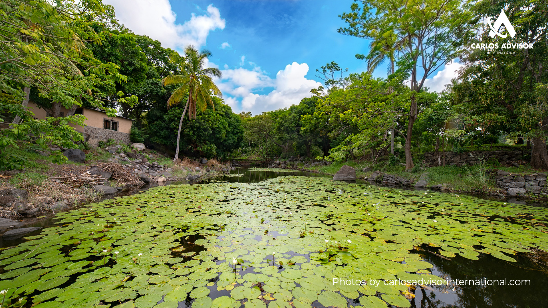 2.jpg1 22567 – 60-Acre Estate Facing Lake Cocibolca in Granada, Nicaragua