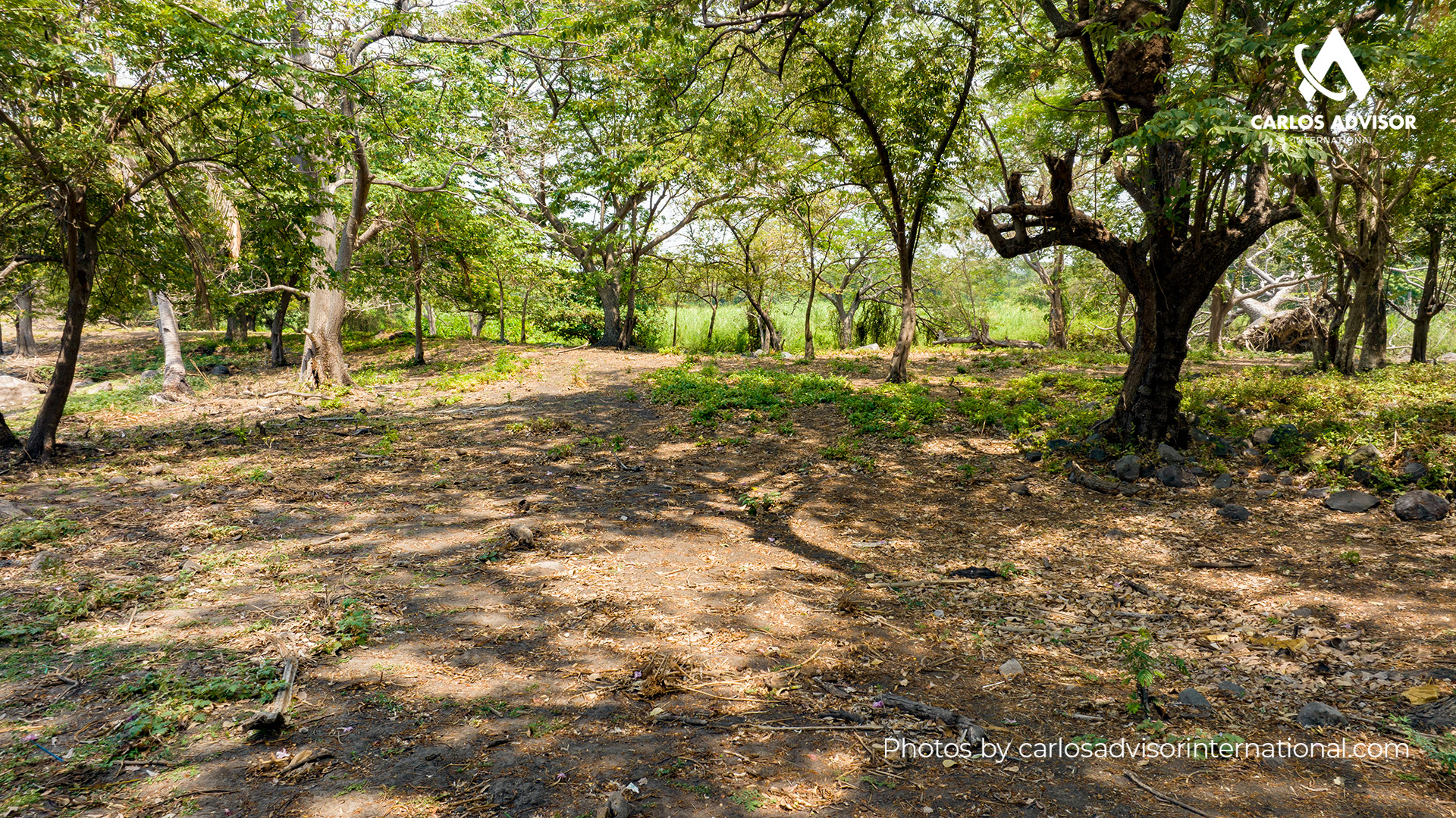 22494 – Private Island for Sale in the Isletas of Granada, Nicaragua | 5 Manzanas with a View of Mombacho Volcano
