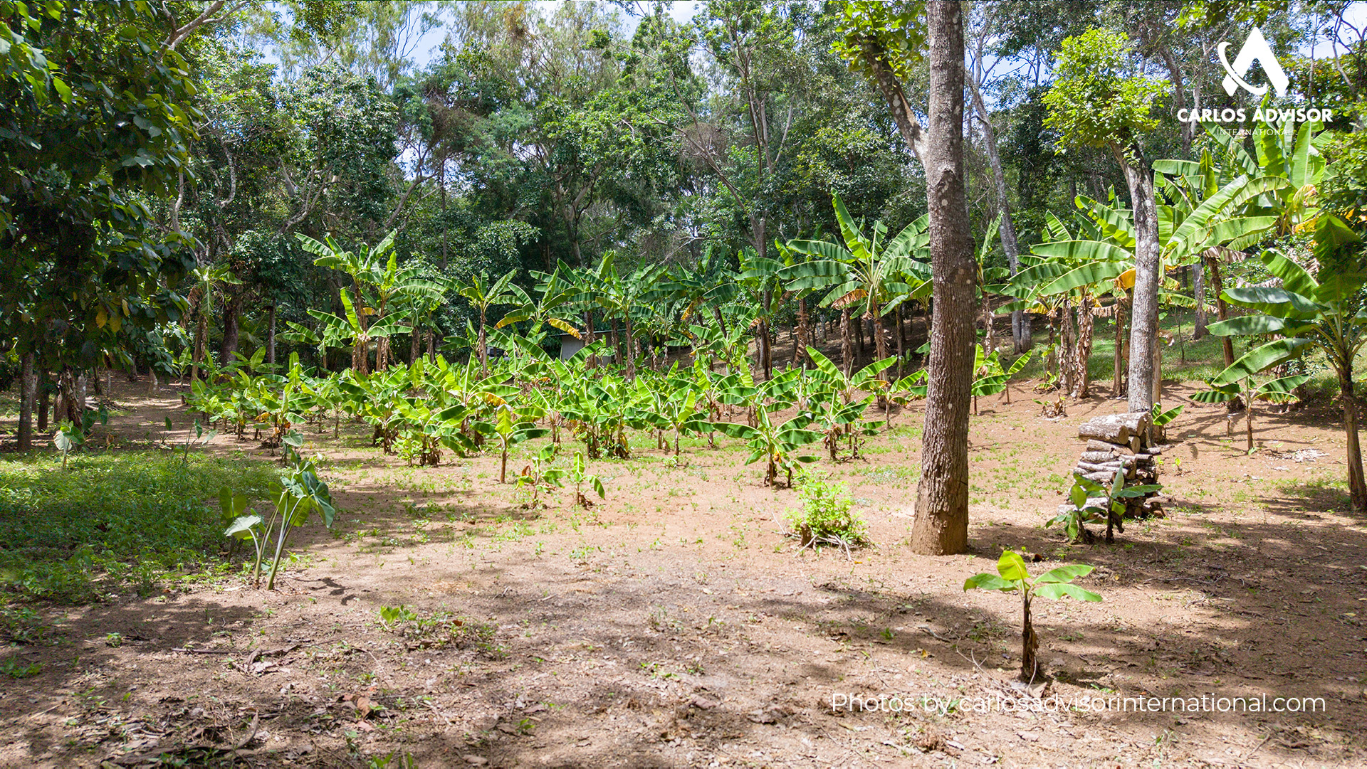 22673 – Farm For Sale in San Juan de Oriente, Nicaragua – 2 Manzanas of Land