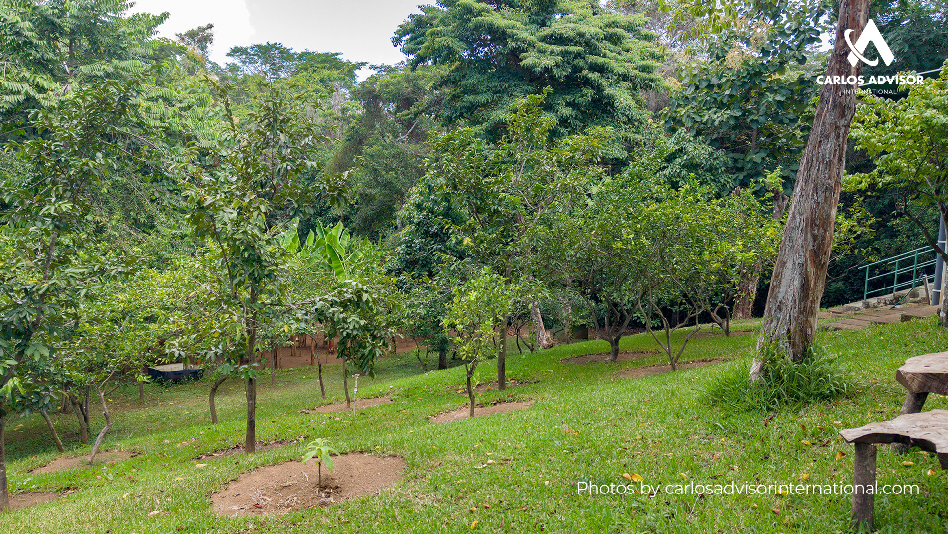 22673 – Farm For Sale in San Juan de Oriente, Nicaragua – 2 Manzanas of Land