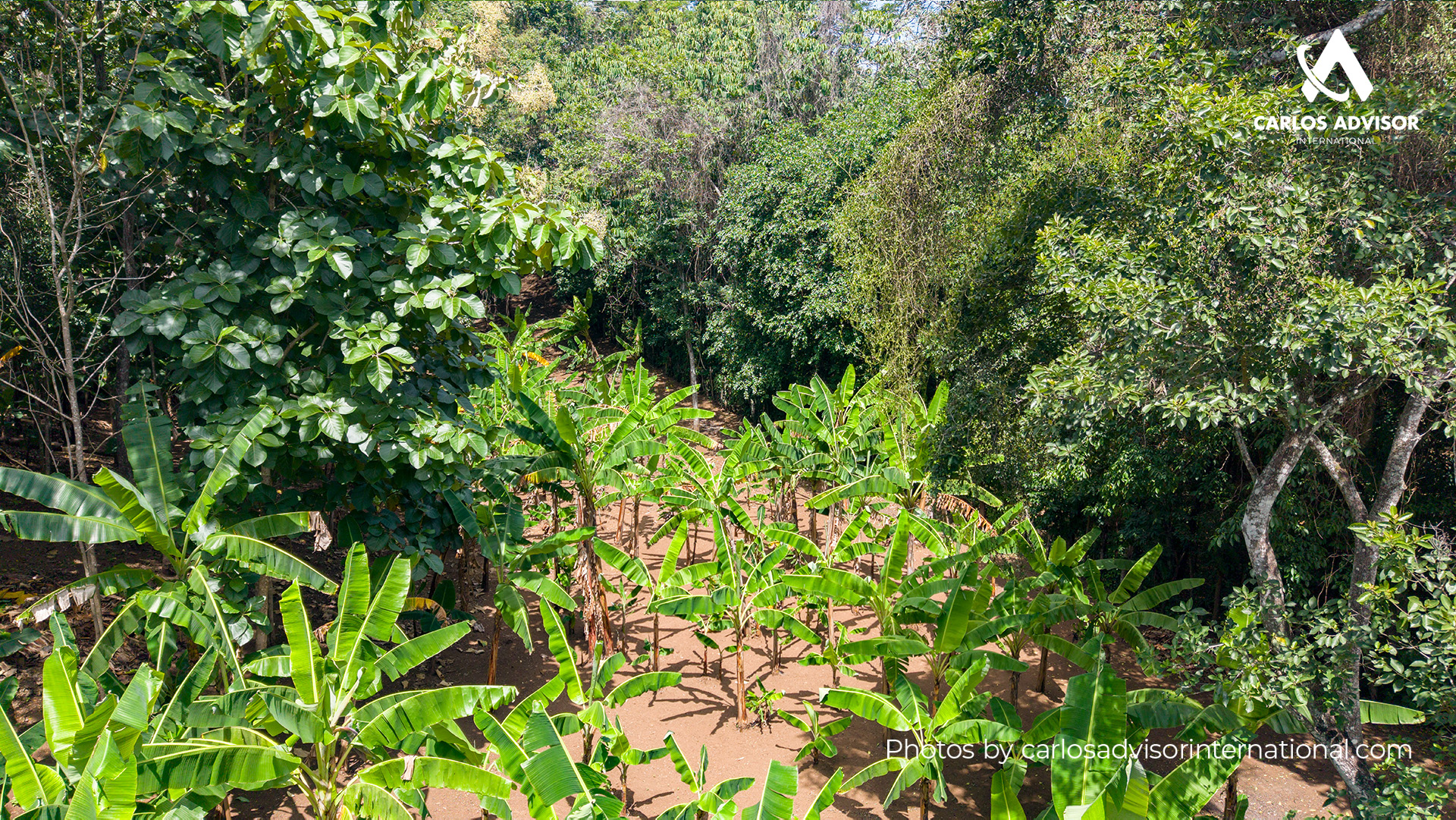 22673 – Farm For Sale in San Juan de Oriente, Nicaragua – 2 Manzanas of Land