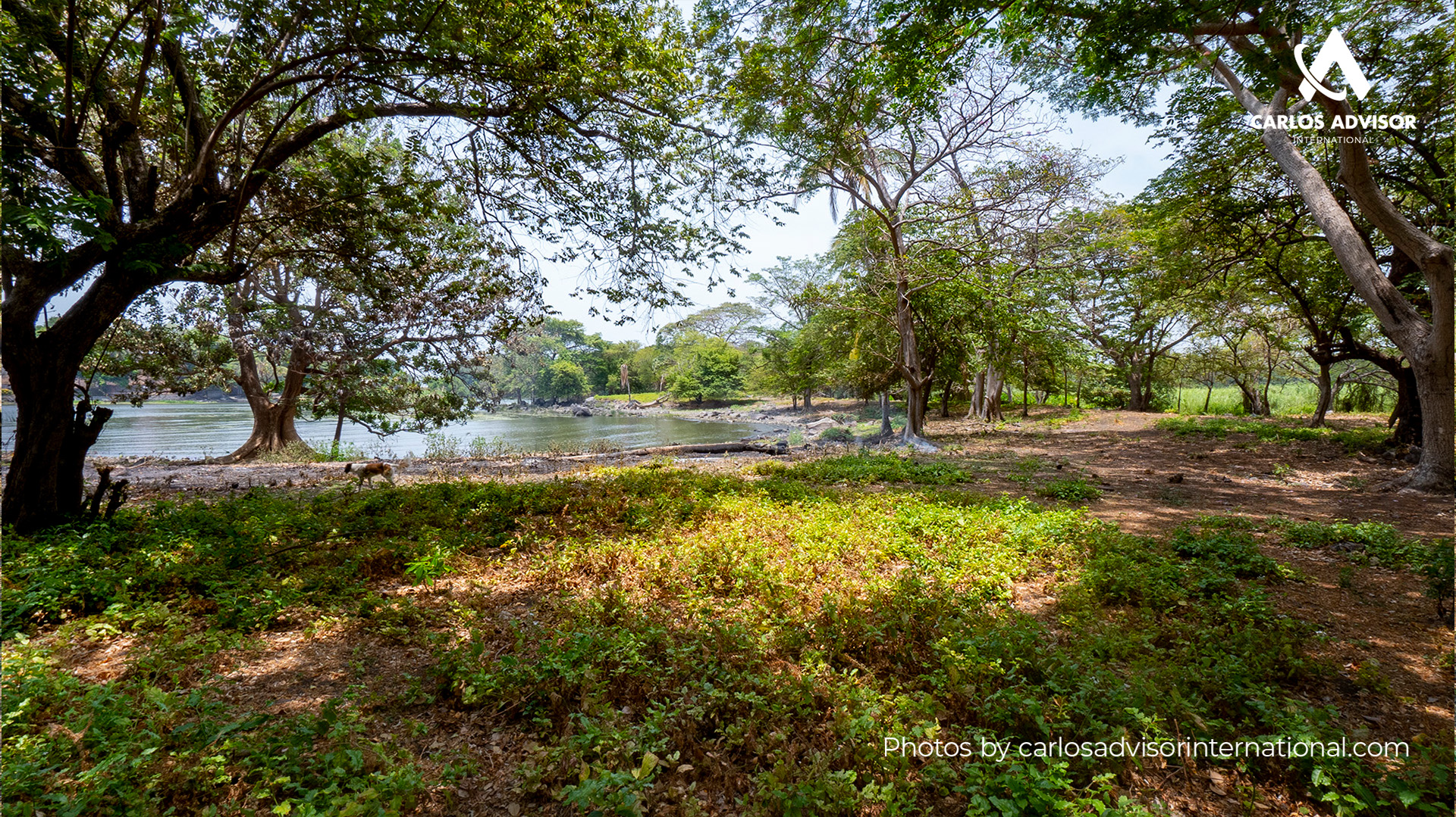 22494 – Private Island for Sale in the Isletas of Granada, Nicaragua | 5 Manzanas with a View of Mombacho Volcano
