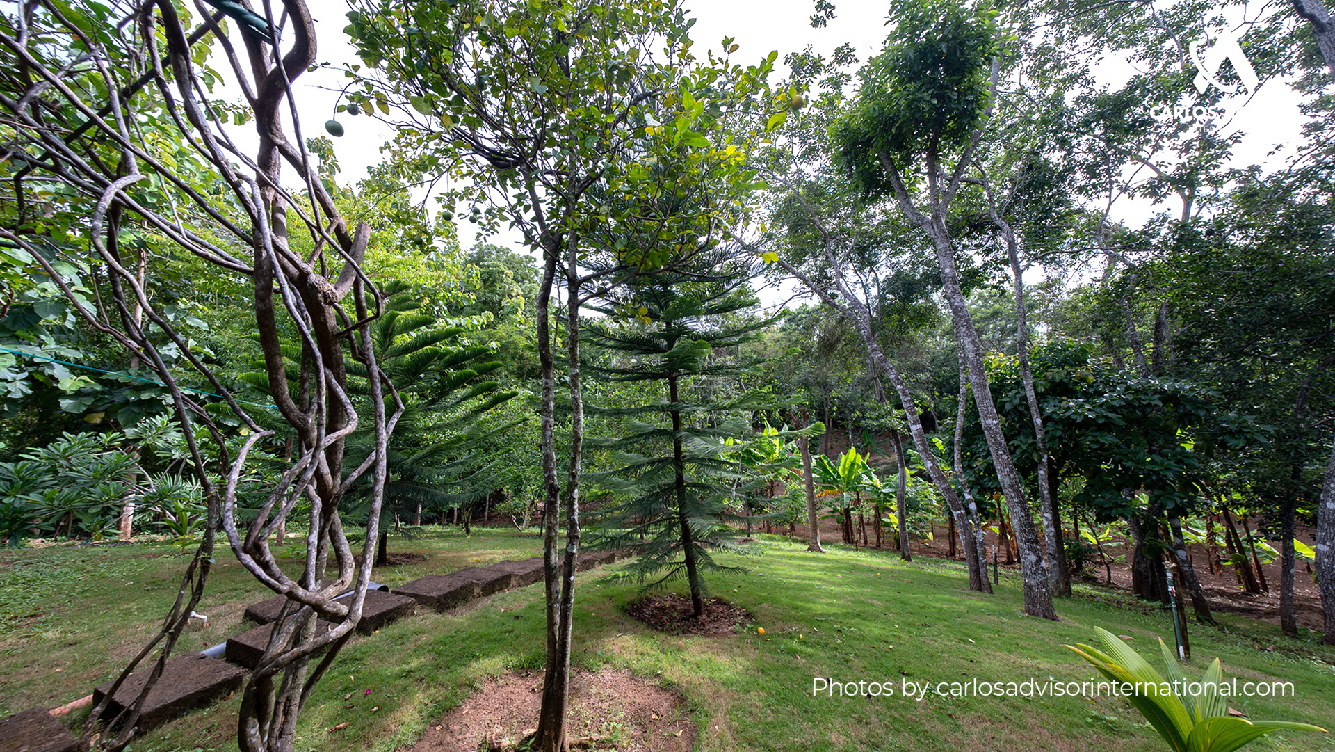 22673 – Farm For Sale in San Juan de Oriente, Nicaragua – 2 Manzanas of Land